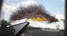 Fair Fly variant Fair Fly variant