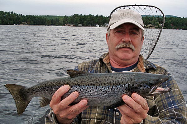 Steve Labrecque Steve Labrecque