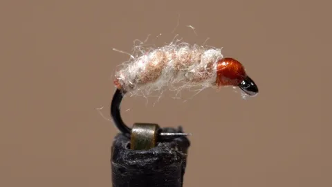 Video thumb for Super Mottle Midge Larva