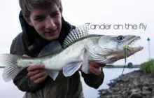 Video thumb for Stormy Day