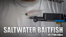 Video thumb for Saltwater Baitfish