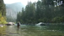 Video thumb for Fly fishing is a Joke