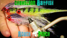 Video thumb for Chameleon Baitfish