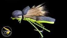 Video thumb for Remnant Fly #21