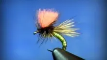 Video thumb for Clown Shoe Caddis