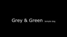 Video thumb for Grey&Green Tremple Dog