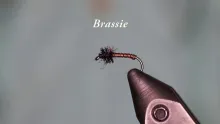 Video thumb for Brassie