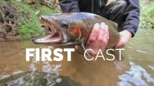 Video thumb for First Cast