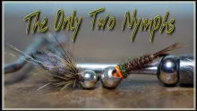 Video thumb for The Only Two Nymphs
