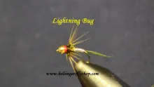 Video thumb for Lightning Bug