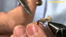 Video thumb for Wet Dry Fly