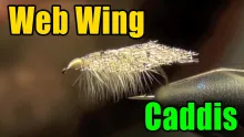 Video thumb for Barr's Web Wing Caddis