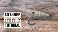 Video thumb for STF Shrimp