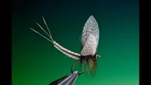 Video thumb for Extended mayfly body tutorial