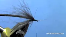 Video thumb for Fluttering Little Black Stonefly
