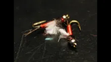 Video thumb for Red Flash Emerger Nymph