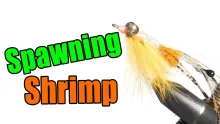 Video thumb for Peterson Spawning Shrimp Bonefish Pemit Fly