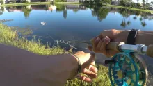 Video thumb for Plugging for florida Bass