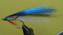 Video thumb for Saltwater Baitfish
