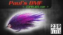 Video thumb for Paul's BMF