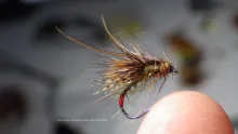 Video thumb for Green Peter Caddis Emerger