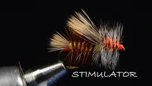 Video thumb for Stimulator