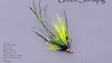 Video thumb for Green Shrimp