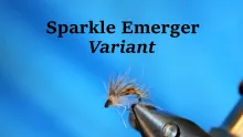 Video thumb for Sparkle Emerger Variant