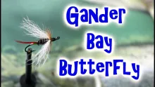 Video thumb for Gander Bay Butterfly