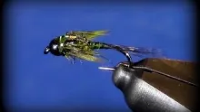 Video thumb for Charlie Craven's Two Bit Hooker nymph