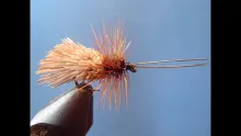 Video thumb for Goddard Caddis