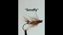 Video thumb for Scruffy