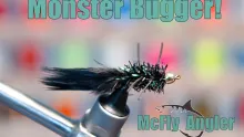 Video thumb for Monster Bugger