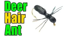 Video thumb for Deer Hair Ant