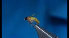 Video thumb for Leggy Caddis Pupa