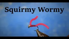 Video thumb for Squirmy Wormy
