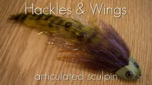 Video thumb for Articulated Sculpin