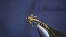 Video thumb for Golden Pheasant Tail Nymph