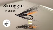 Video thumb for Skröggur