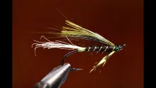 Video thumb for Steelhead Spratley