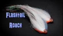 Video thumb for Flashtail Roach