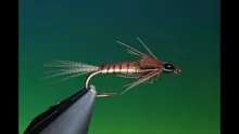 Video thumb for Copper Nymph