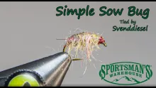 Video thumb for Simple Sow Bug