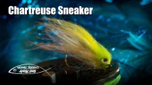 Video thumb for Chartreuse Sneaker