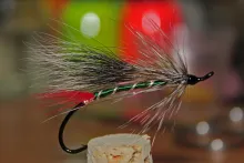 User submitted picture: Grizzly King