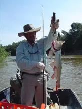 User submitted picture: See what piranhas can do ...