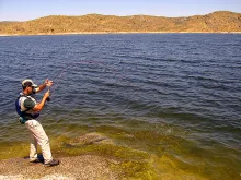 User submitted picture: Hard fight with a common ...