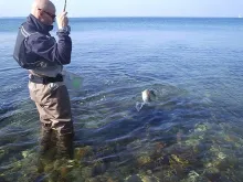 User submitted picture: GFF summit '06. Jesper i...