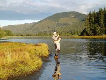 User submitted picture: Fighting silver salmon wi...