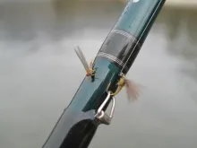 User submitted picture: Friends !! by www.guidepe...